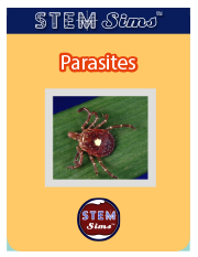 Parasites Brochure's Thumbnail